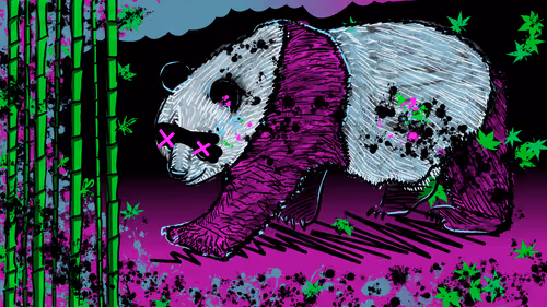Panda Groove