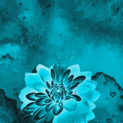 Space Flower