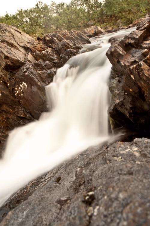 Item #74044223418963058719430139109127574928607342041478017501753412604944587948033 Media