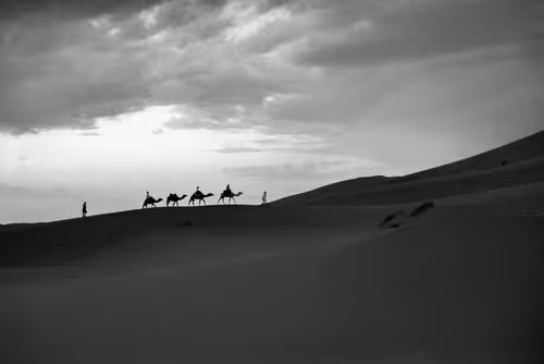 Item #68105596077403397576632382464572645722713562102466562667551685160002627043329 Media