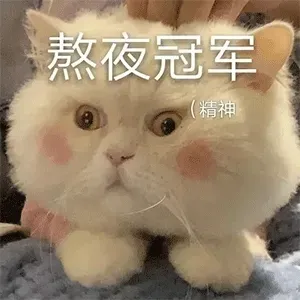 qqq71