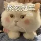 qqq71