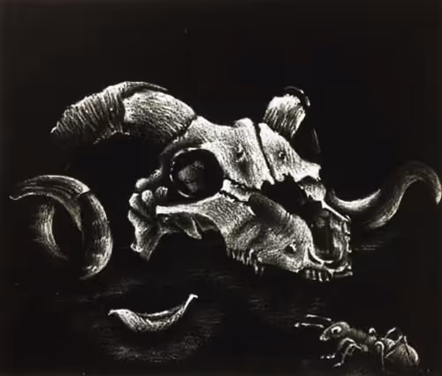 Item #83056374105104765591885836403549726322220470075582531098937740035749847236609 Media