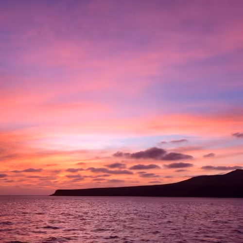 Untitled Collection #271656484