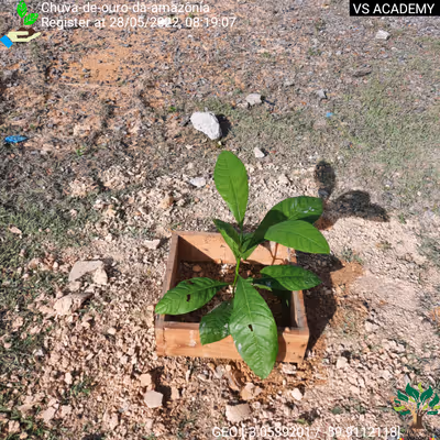 Item #8500196597889277390194123329501889087166328879864934763448348829213872095233 Media