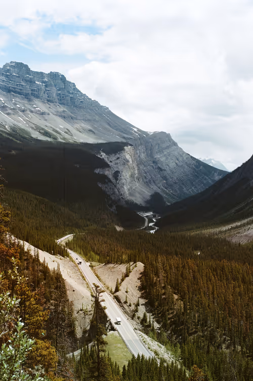 Item #47263427192164652085491385206447928327425179185590361106857945445694028382209 Media