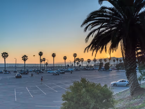 Item #62617397375757312297803897609954755559227699621957103885912270324188229664769 Media