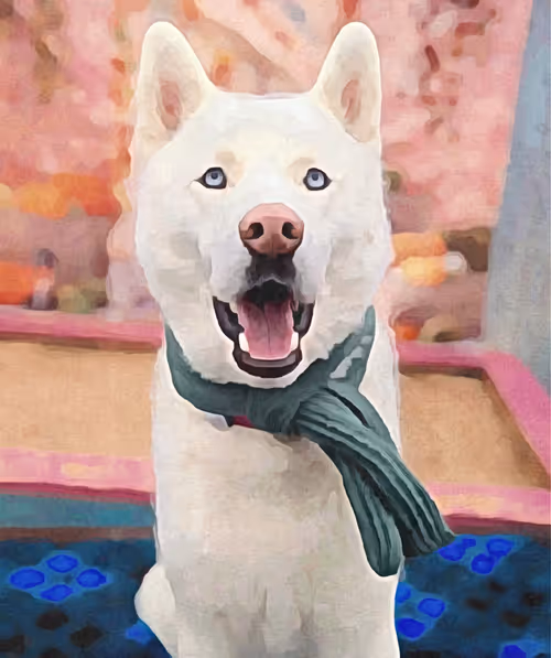 Item #17635803375648012338610213380030160191715370757553255260744606446992647782401 Media