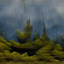Canapy Storm