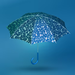 Umbrella 018