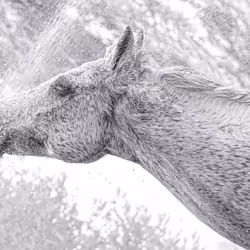 12333759371985289416686528618250941787801478820548931806244366487735716806657