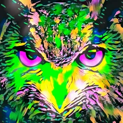 50830097462543580601473563981388698009005024090223633461481090168083414253569