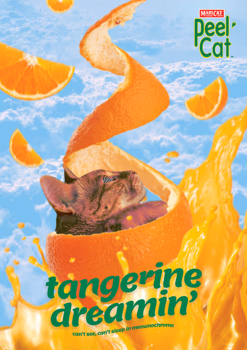 Item #65457760930205756983911633450238698311656973795214472907579488396051912589313 Media