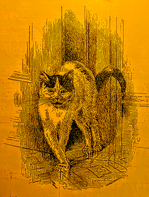 Item #35247308013863639916483757756408588227786114589757564733366544658401794719774 Media