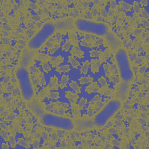 Side_Lines Collection