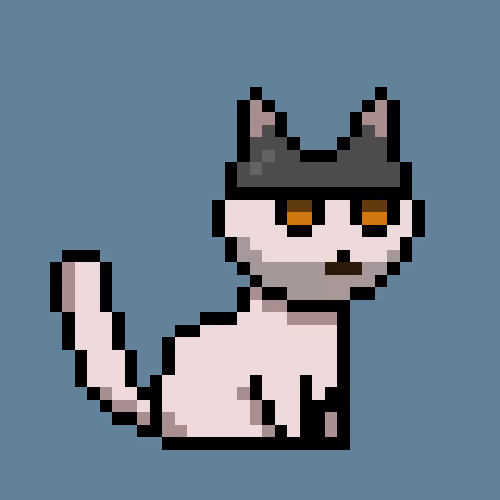 PunkCat #9119