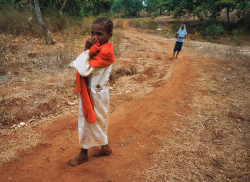 Item #81057615018985245267668409952199543064735075507553677475786031540029240639489 Media