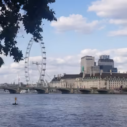 The Eye