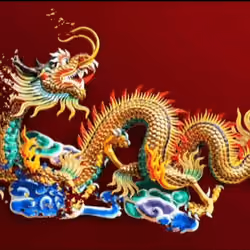 EXTRACTION DRAGON 