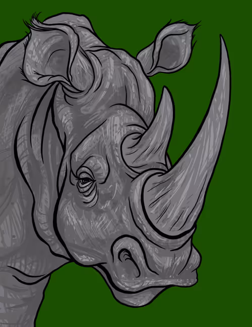 Item #60342236005163987948556802886235213316063293567500632170058184702654341447681 Media