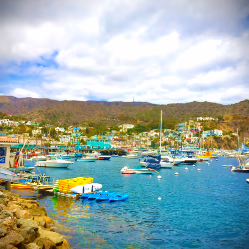 abell8418 Collection