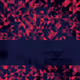 89902183252966194434614360365720208309787731140005720898848920976160538492929