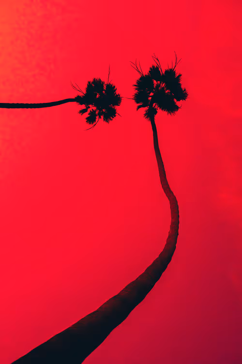 Item #35557780727049604459658880725917592814256363748111026780455796809081150242817 Media