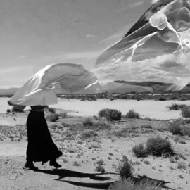 Item #11683064756107818281309339640186819405943948750934264751086521027953208328193 Media