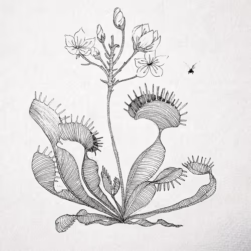 Item #87817704558836231294216106418040742091237140739138670717844374401045594374154 Media