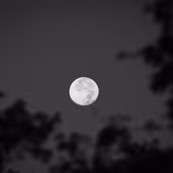 Luna Fría