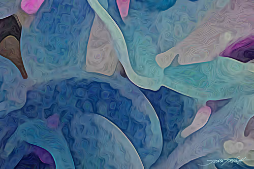 Item #13895770362792469734688406540771864633906230487145014712104887718710979067905 Media