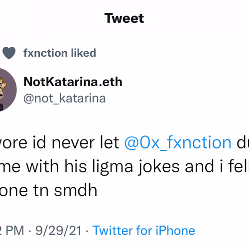 NFTnewbie44 Collection