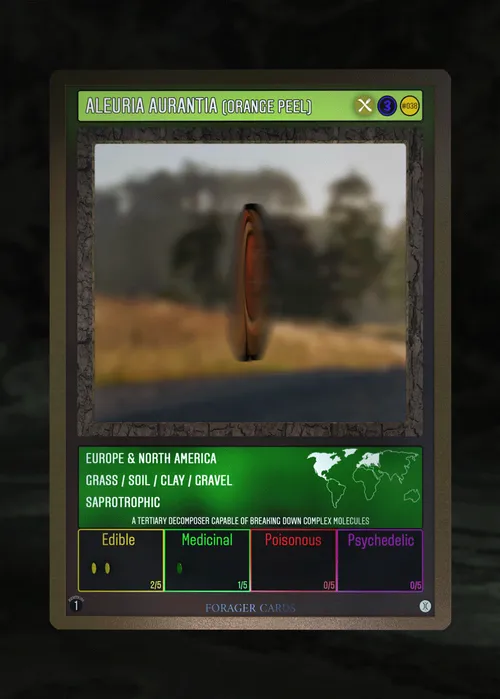 Item #73412372274297784710279054145181842019162569346562246022835392857159728365574 Media