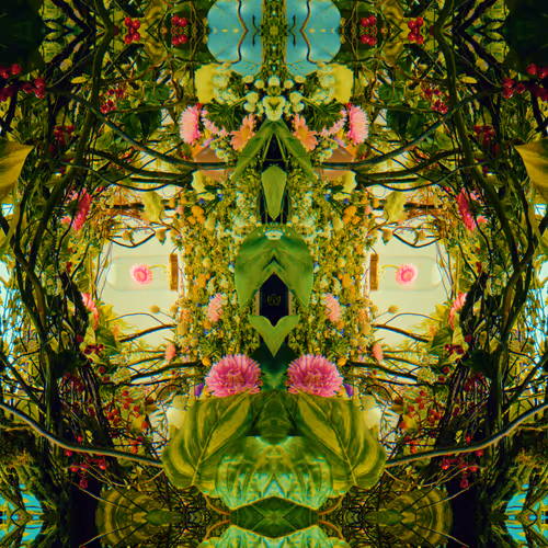 54411499690937640101772425138653578544162397958311670010148906864279145152513