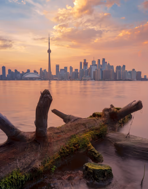 Item #25828147237821198195018353565513715926828886605696715423323237646400021856257 Media