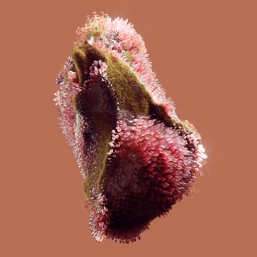 Item #29025029791859050124720480462956340608557292548544538512690378034703023210497 Media