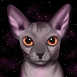 Galaxy Sphynx cat
