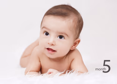 Item #110878818856117698547590232390366313884640741176068309716108893554183872970753 Media