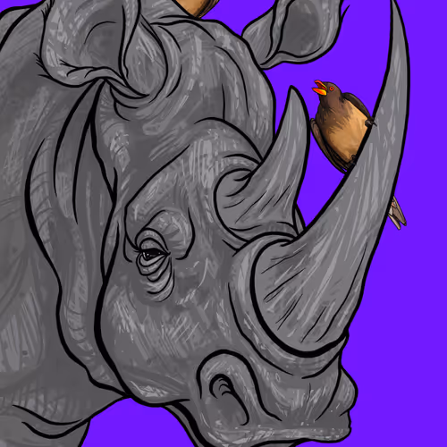Rhinosnot