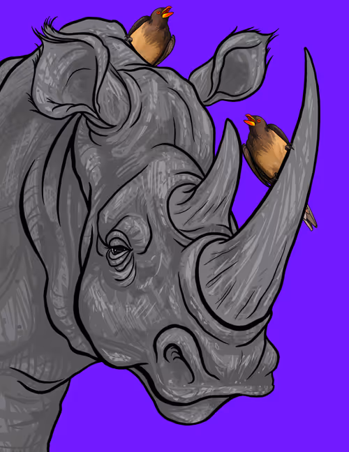 Item #60342236005163987948556802886235213316063293567500632170058184723545062375425 Media