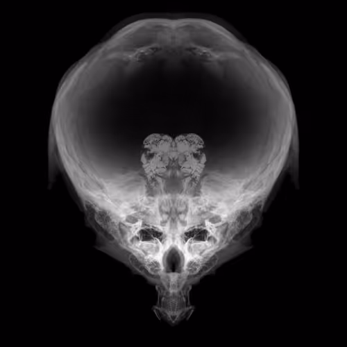 Item #85859191866638808365331437874953228966785819470149775310971063099888156803073 Media