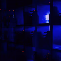 BLUE Genesis