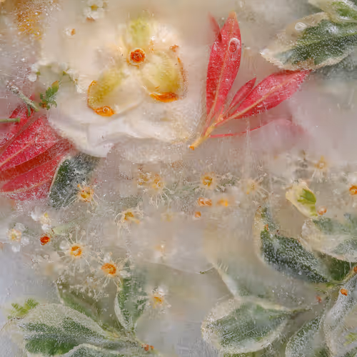 Item #80829721372825377784010953381890255518558028243098186913878117765247571853313 Media