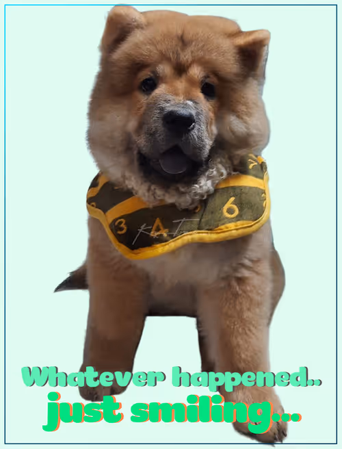 Item #103606411814514267144441239329390381368364317226309774540220525469059073966081 Media