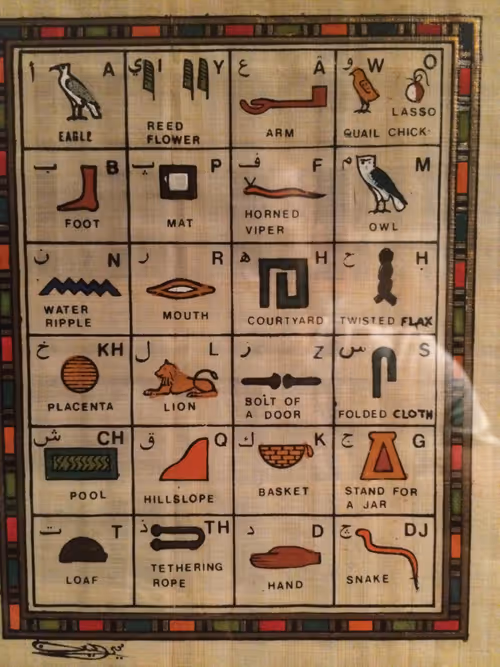 Item #61263702141721273313063725733190944575764693144919739600007948022711169581057 Media