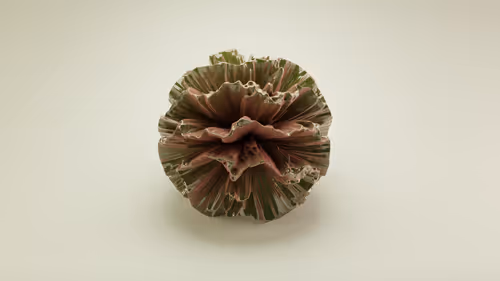 Item #54162300568103725826343189831171959365021078669884134013916714335559493877761 Media