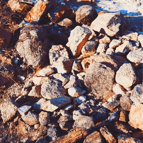 EXTRVGNZA Collection