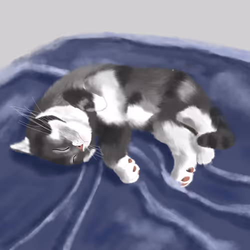 104561290184458227069111393088658904779979346146682542828265975238098725896193