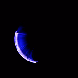 45731211464929816441170859700976373292149702980452148839612468949008586375169