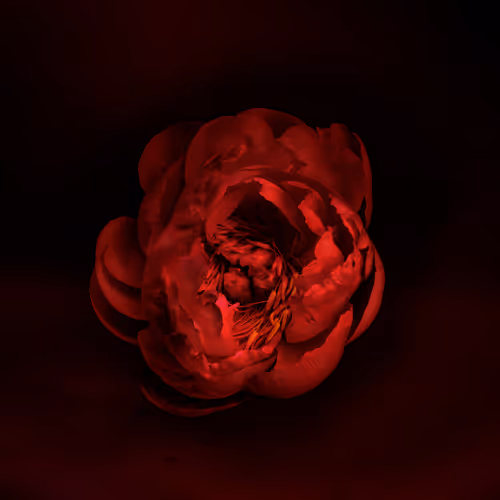 Item #78290859564487950582035157187154512379100989933844946097788898153666736816129 Media